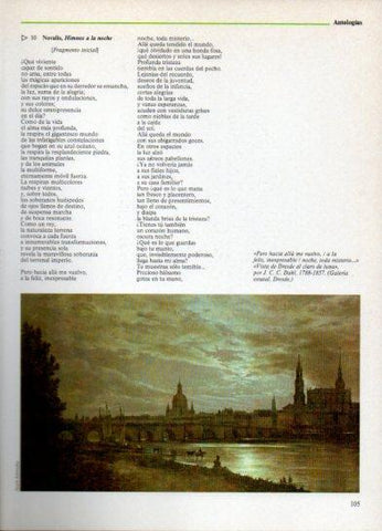 LAMINA V38277: Vista de Dresde al claro de luna por J.C.C. Dahl