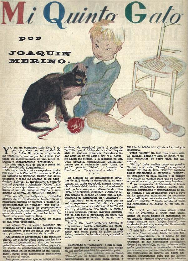 LAMINA 35856: Ilustgracion par Mi quinto gato