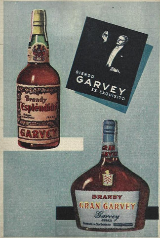 LAMINA 35815: Publicidad de brandy Gran Garvey
