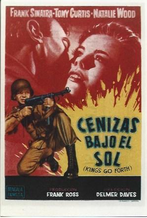 POSTAL A6062: Cenizas bajo el sol