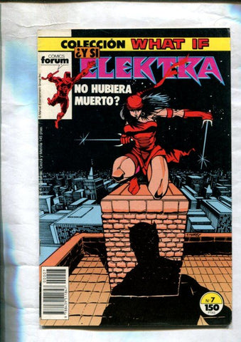 Planeta: What If volumen 1 numero 07: Daredevil y Elektra