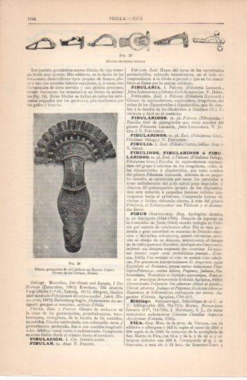 LAMINA V38702: Fibulas epoca romana y germanica
