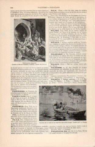 LAMINA V38627: Fakir en una mezquita por F. Lameyer