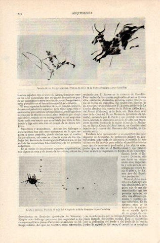 LAMINA V38771: Arañas y moscas pintura del Cingle de la Mola Remigia, Castellon