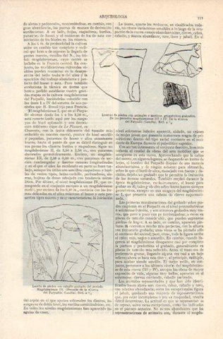 LAMINA V38770: Losetas de piedra con animales, Cueva del Parpallo