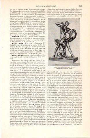 LAMINA V38452: Teseo y el Minotauro por Barye
