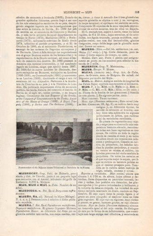 LAMINA V38377: Puente sobre el rio Mijares entre Villarreal y Castellon