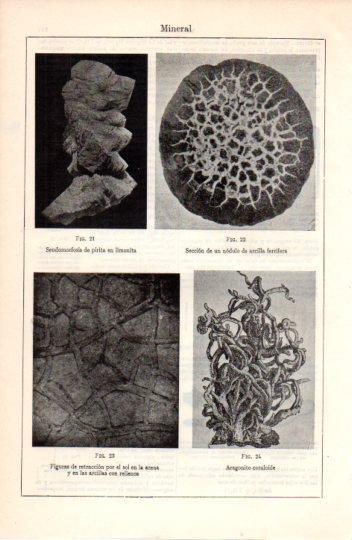 LAMINA V38415: Mineral