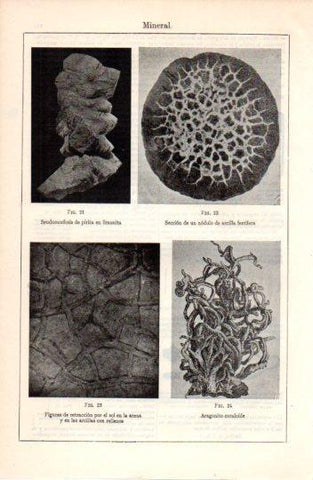 LAMINA V38415: Mineral