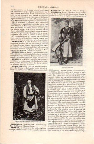 LAMINA V38480: Montañes y mujer mirdita, Albania