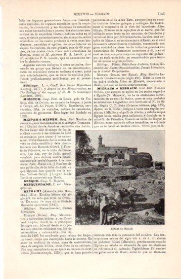 LAMINA V38565: Ruinas de Mizpah