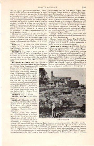 LAMINA V38565: Ruinas de Mizpah