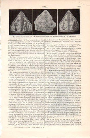 LAMINA V38530: Mitras abacial y episcopal, Museo diocesano de Vic