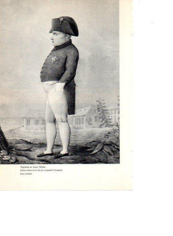 LAMINA V38910: Napoleon en Santa Helena por el general Gourgaud