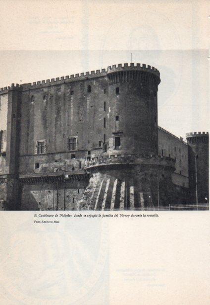 LAMINA V38860: El Castilnovo de Napoles