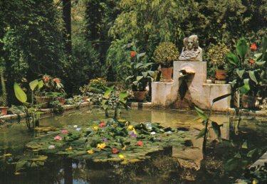POSTAL PV09564: Huerto del Cura tocador de la Dama de Elche, Elche