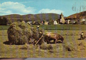 POSTAL PV09707: Carretera tipica en Alp, Cerdaña