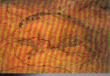 POSTAL PV09605: Jabali en  Cuevas de Altamira, Santillana del Mar