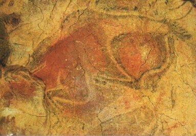 POSTAL PV09604: Bisonte en Cuevas de Altamira, Santillana del Mar
