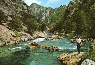 POSTAL PV09340: Pesca del Salmon y Trucha en Rios Asturianos