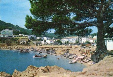 POSTAL PV09337: La playa de Tamariu, Costa Brava