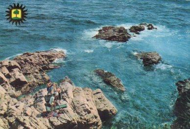 POSTAL PV09368: Vista al mar, Lloret de Mar