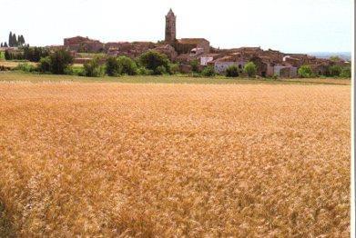 POSTAL PV09293: El poble de Vilanant, Alt Emporda