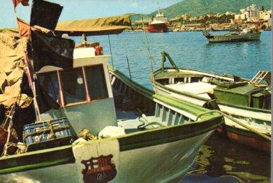 POSTAL PV09286: Vista parcial del Puerto de San Carlos de la Rapita, Tarragona