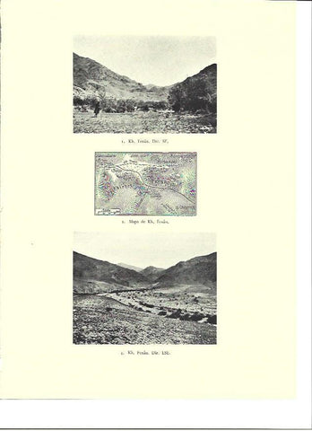 LAMINA 36368: Mapa y vistas de Fenan, Israel
