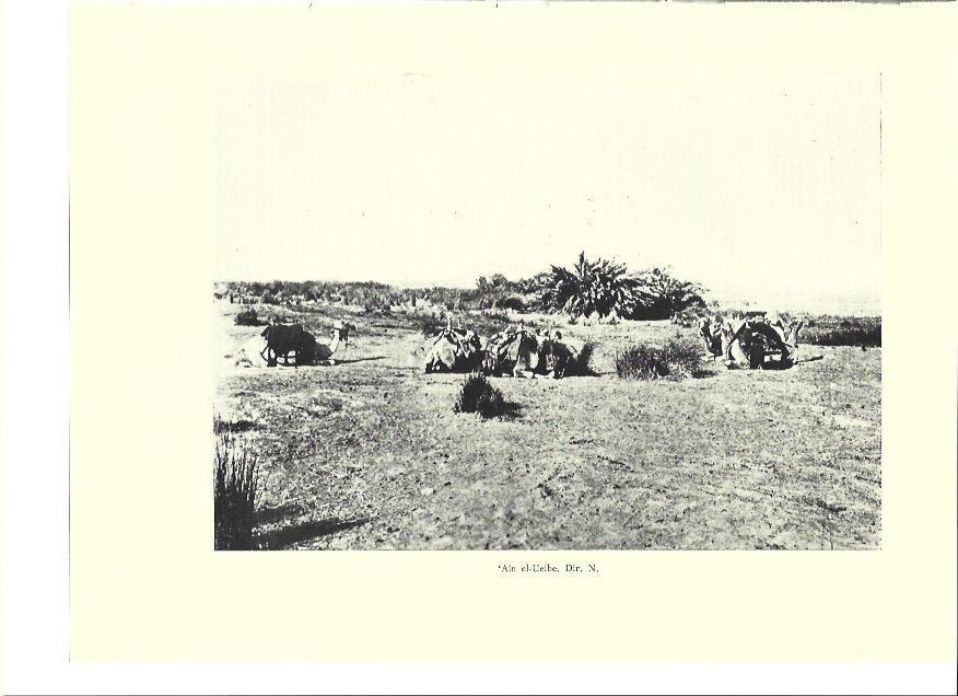 LAMINA 36371: Ain el-Ueibe, Israel