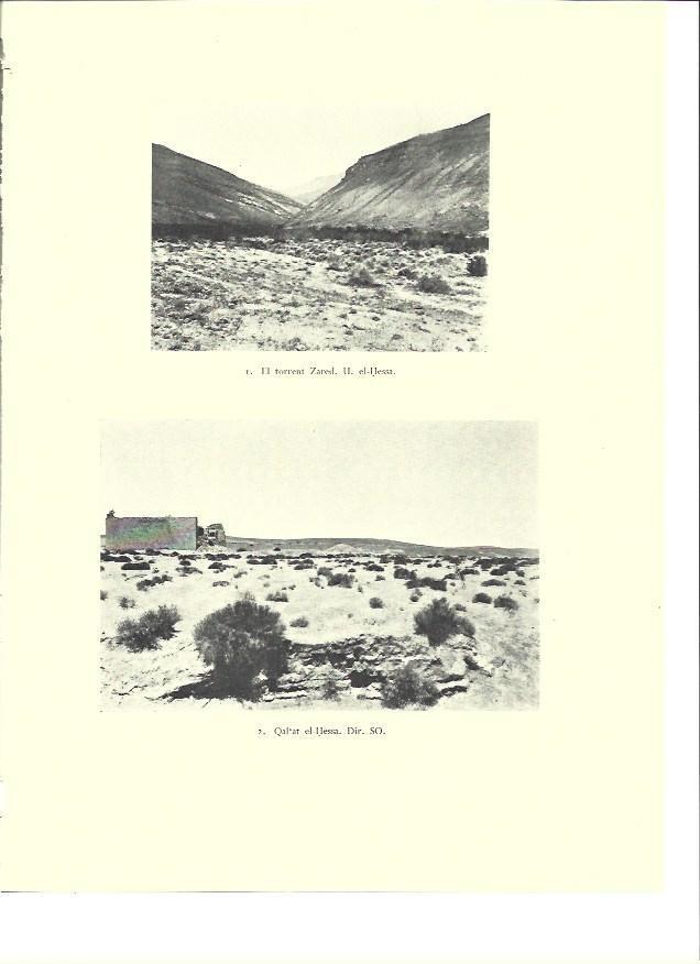 LAMINA 36374: Torrente Zared en Israel