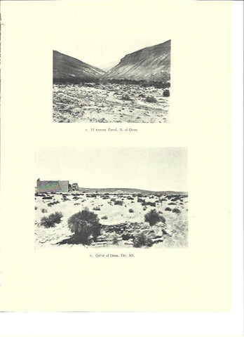 LAMINA 36374: Torrente Zared en Israel