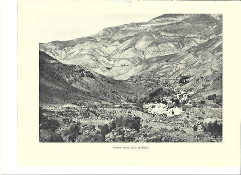 LAMINA 36376: Torrente Arnon en Israel