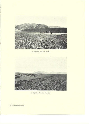 LAMINA 36361: Djebel el-Halal, Israel