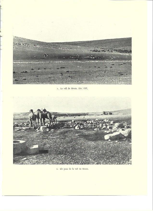 LAMINA 36360: Valle de Birein, Israel