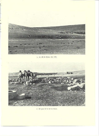 LAMINA 36360: Valle de Birein, Israel