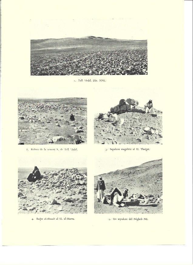 LAMINA 36358: Vistas de Tell Arad
