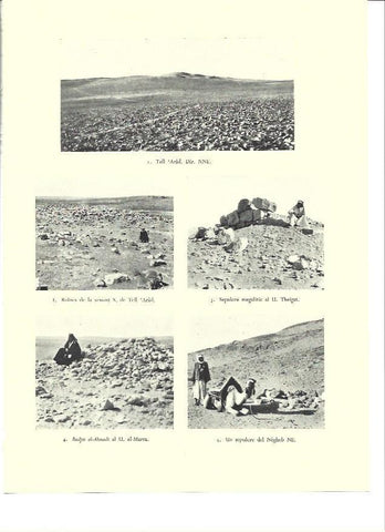 LAMINA 36358: Vistas de Tell Arad