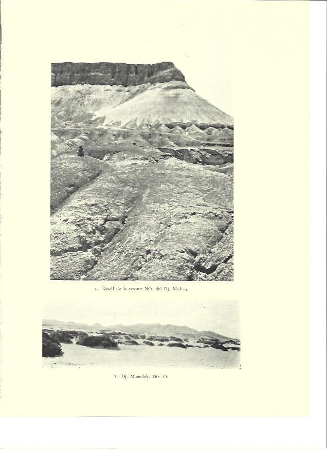 LAMINA 36356: El Monte Madera en Israel