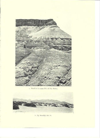 LAMINA 36356: El Monte Madera en Israel
