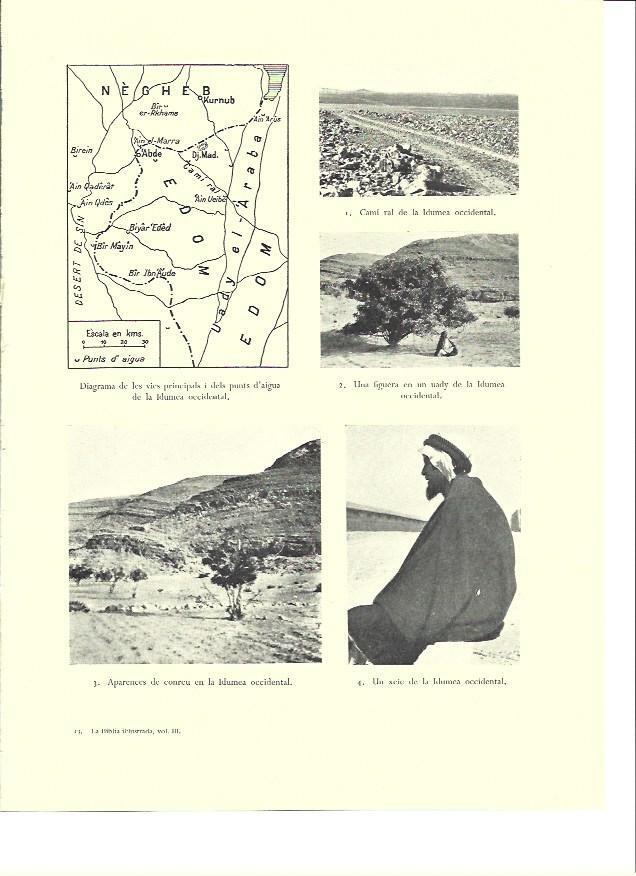 LAMINA 36353: Vistas y mapa de vias y fuentes de Idumea occidental