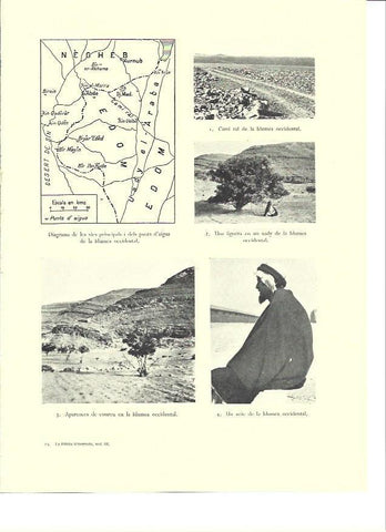 LAMINA 36353: Vistas y mapa de vias y fuentes de Idumea occidental