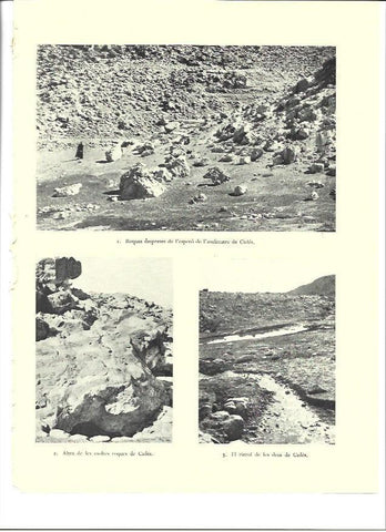 LAMINA 36352: Ruinas de Cades. Israel
