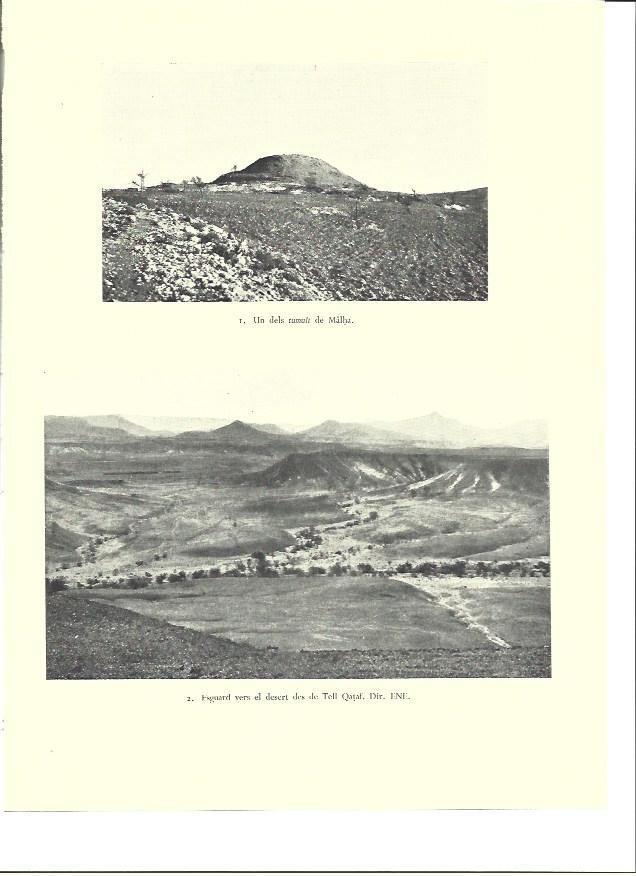 LAMINA 36350: Tumulo de Malha