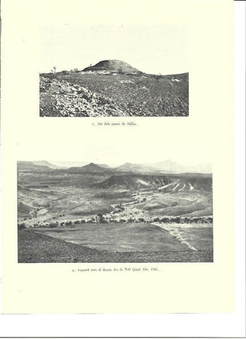 LAMINA 36350: Tumulo de Malha