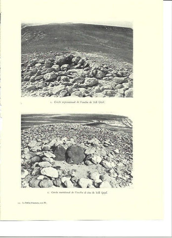 LAMINA 36349: Cima de Tell Qataf