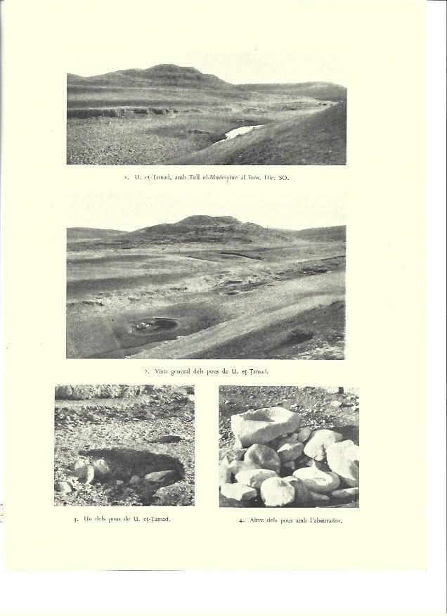 LAMINA 36378: Tell el-Mudeiyine, Israel