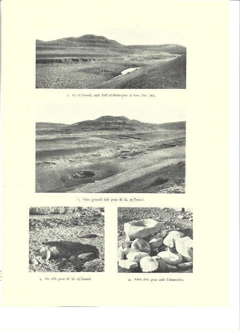 LAMINA 36378: Tell el-Mudeiyine, Israel