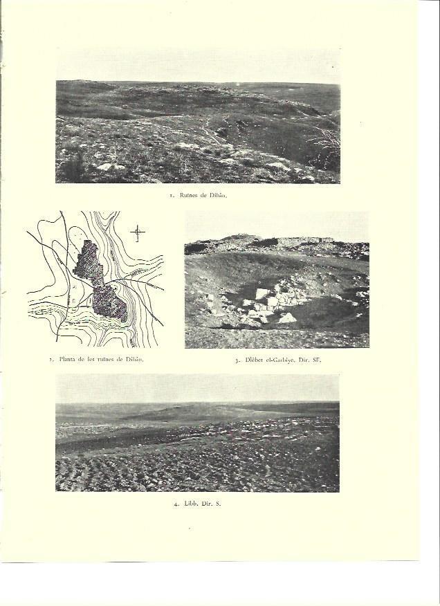LAMINA 36380: Ruinas de Diban, Israel