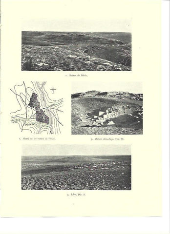 LAMINA 36380: Ruinas de Diban, Israel